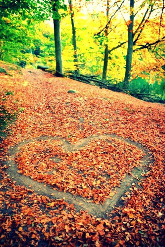 fall, leaves, heart in leaves, october, happy