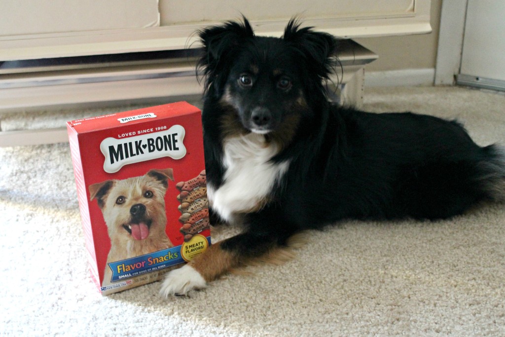 milk-bone treats