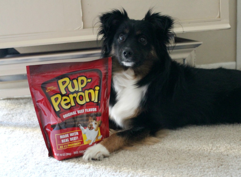 pup-peroni for valentine's day dog treats