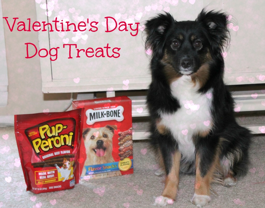valentine's day doggie treats