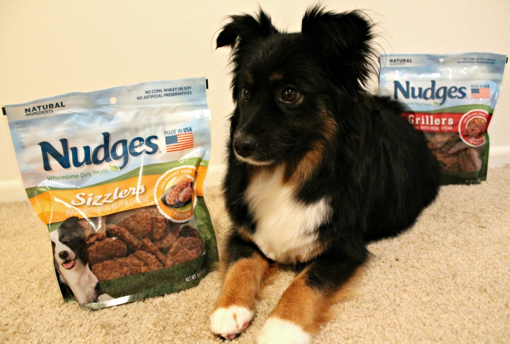 Good Dog Treats - Nudges