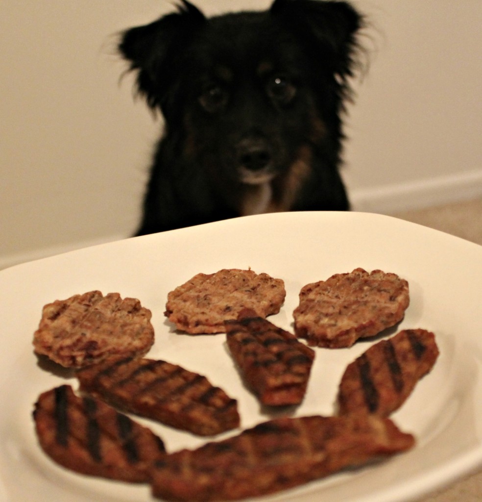 Happy Dog with Nudges Dog Treats