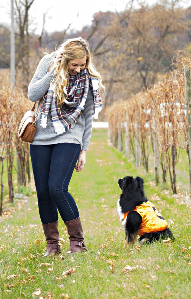 pumpkin patch fun