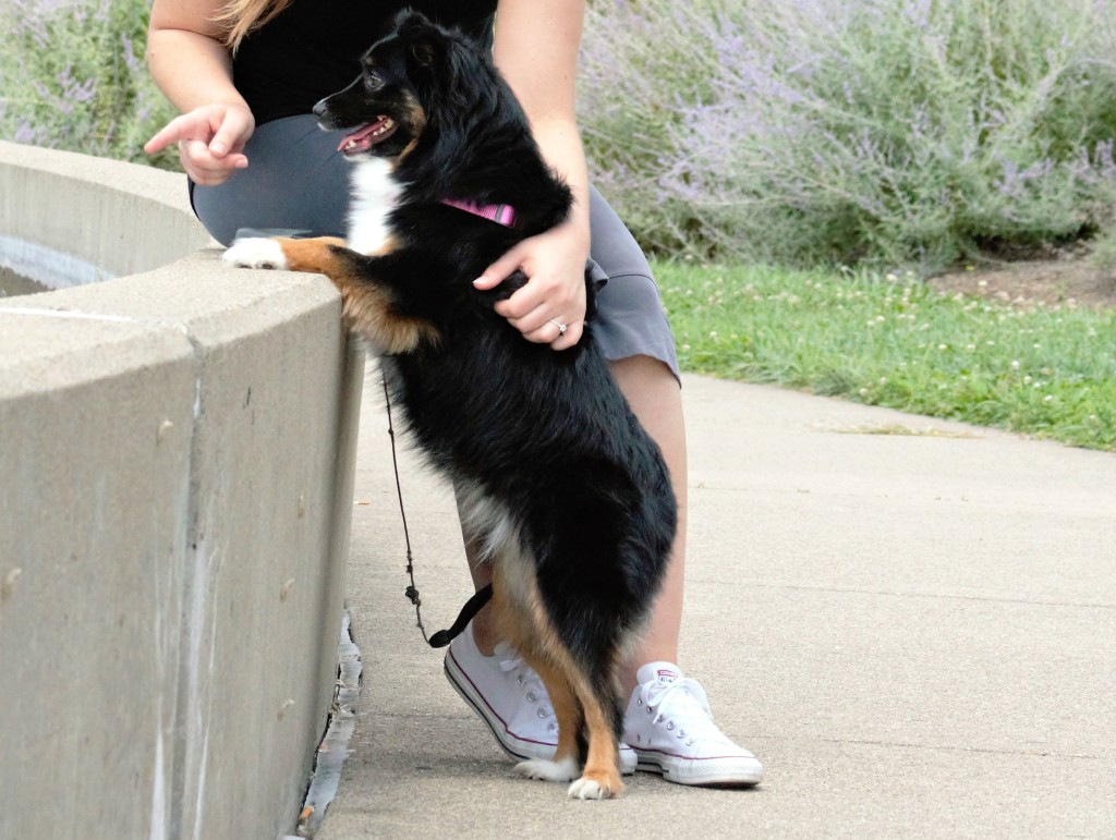 Emma at the park