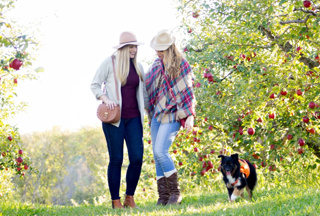 apple-orchard-with-sister