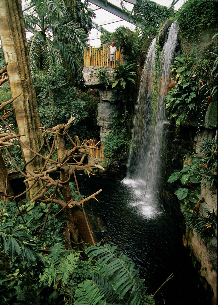 lied_jungle_waterfall_mforsberg